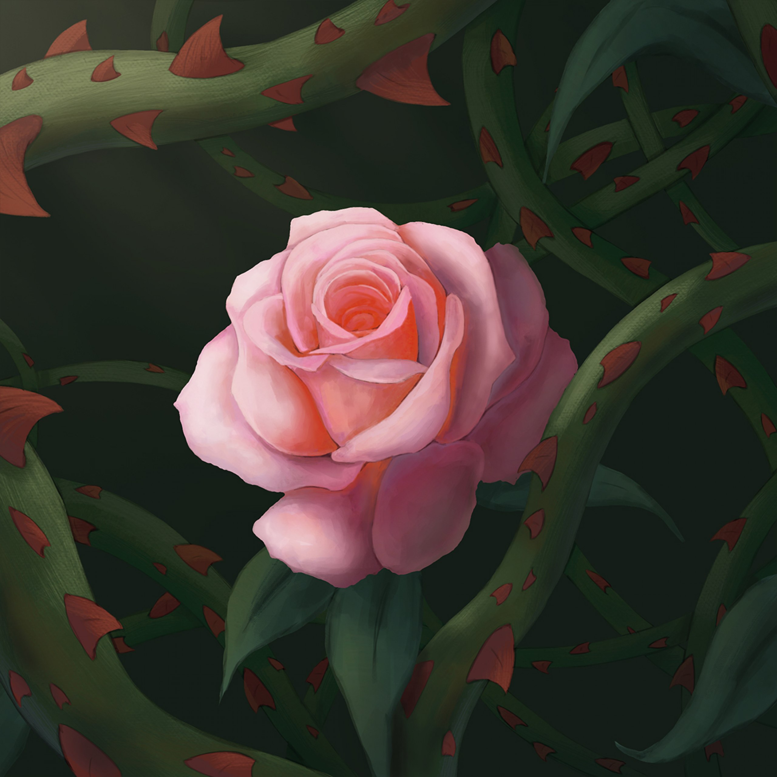 Illustrationen inspiriert von Sprüchen aus Glückskeksen