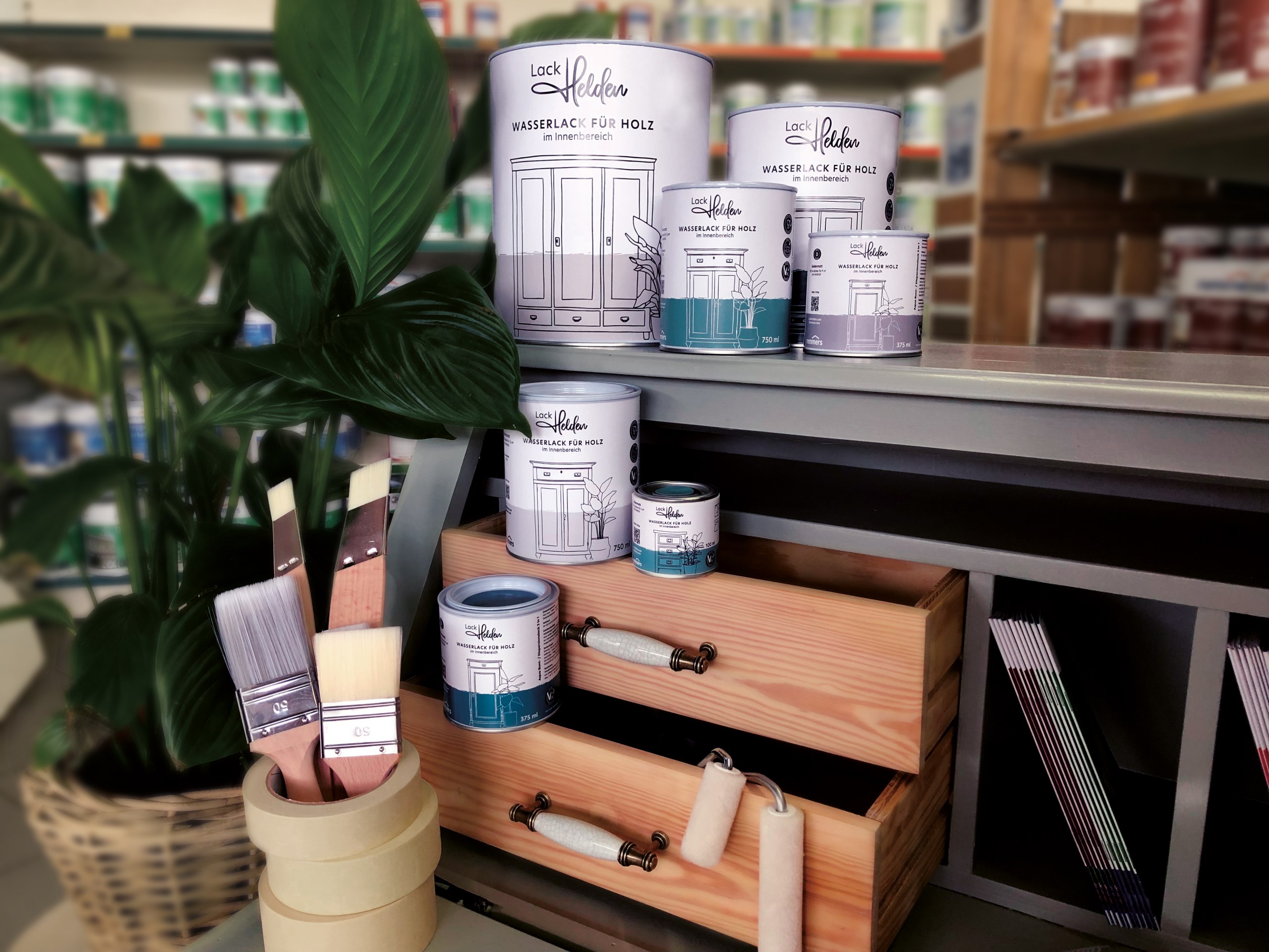 Konzeption eines Corporate und Packaging Design für umweltschonende Farblacke