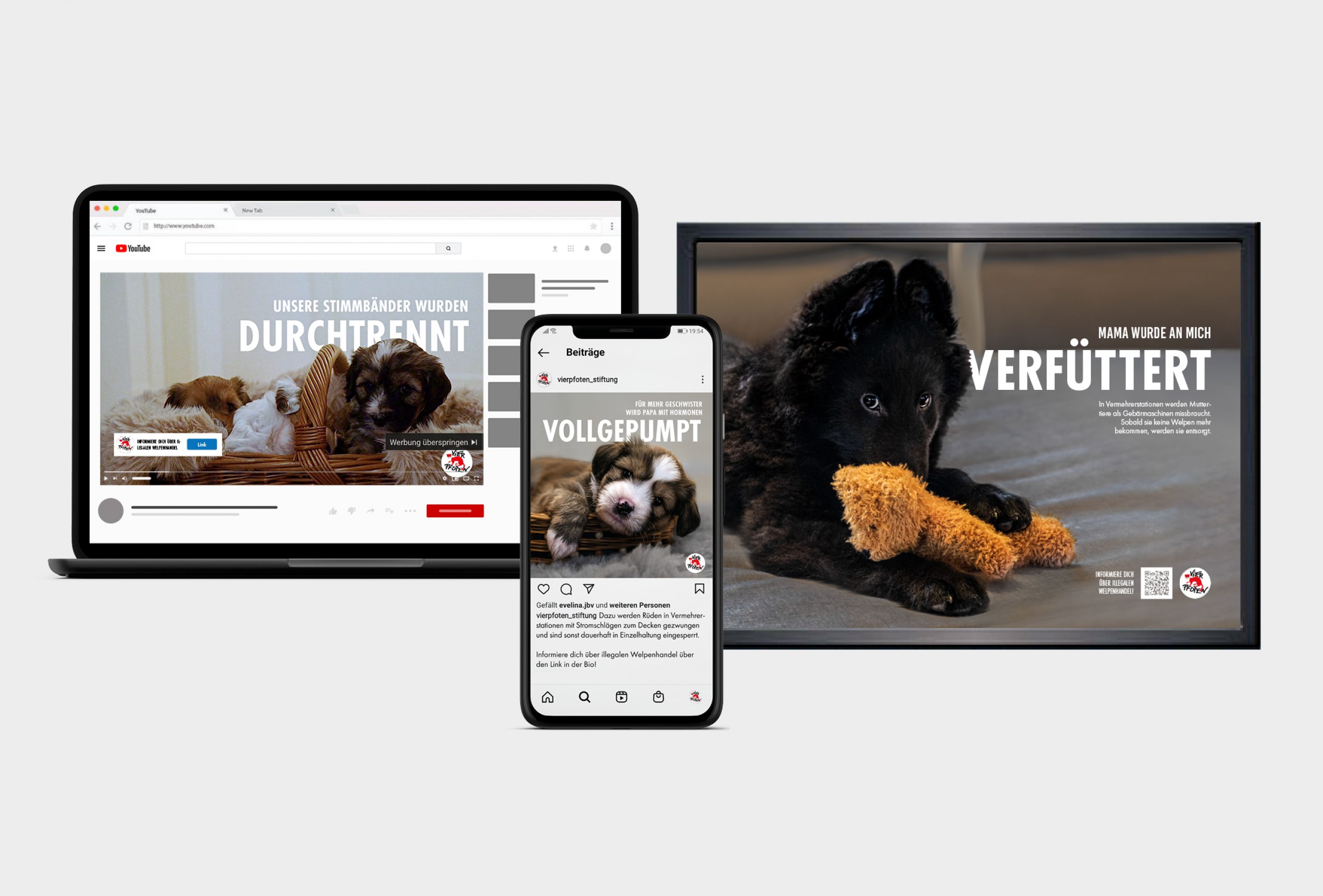 Eine Awareness-Kampagne gegen den illegalen Handel mit Welpen
