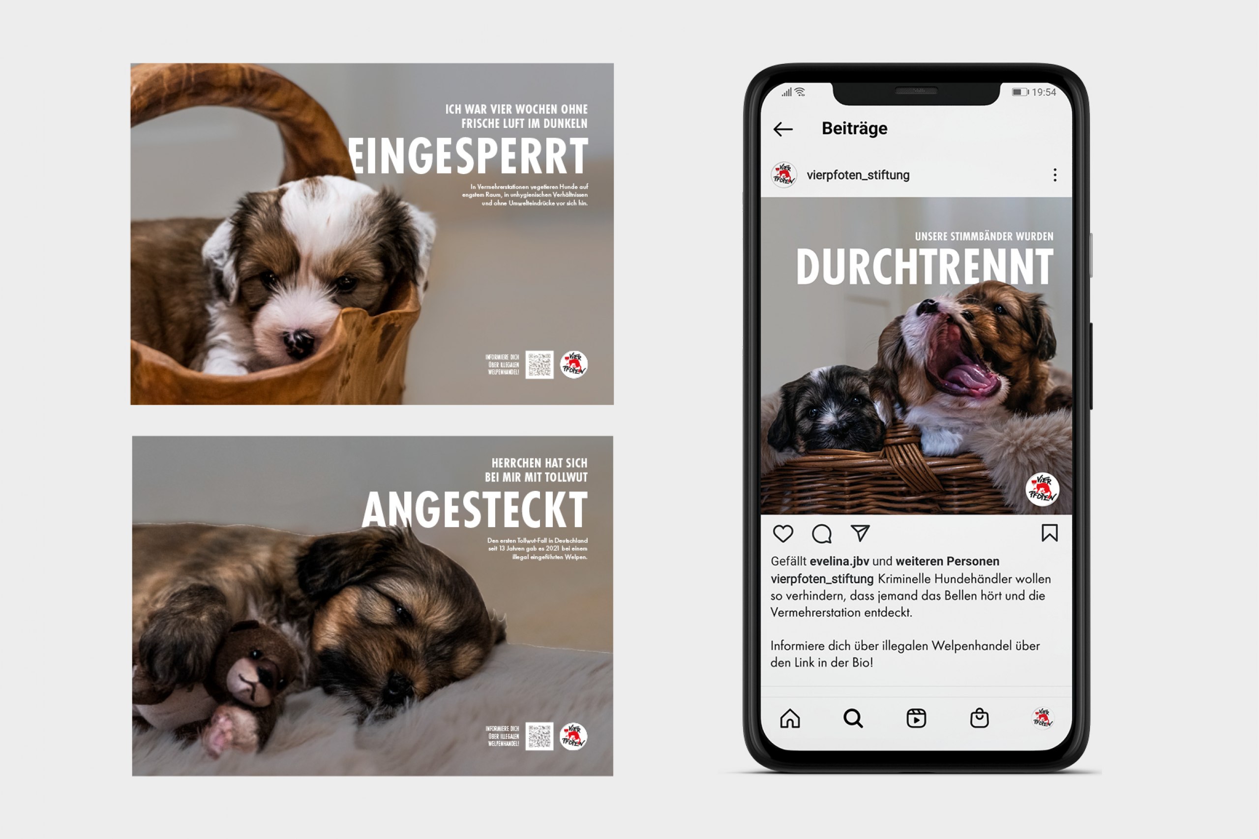 Eine Awareness-Kampagne gegen den illegalen Handel mit Welpen