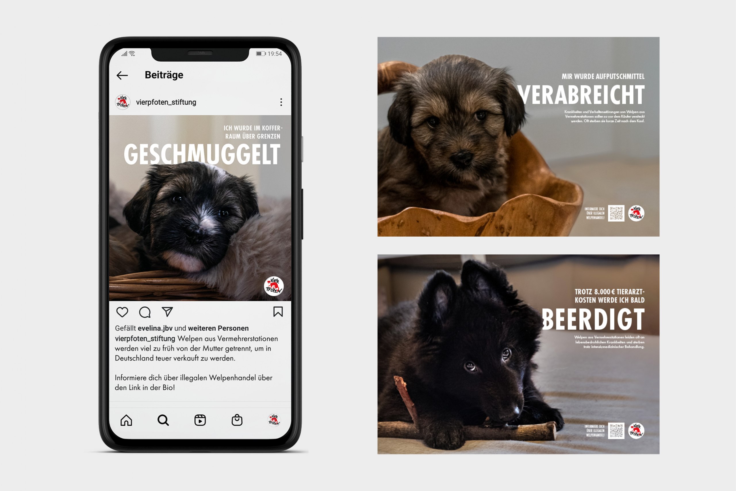 Eine Awareness-Kampagne gegen den illegalen Handel mit Welpen