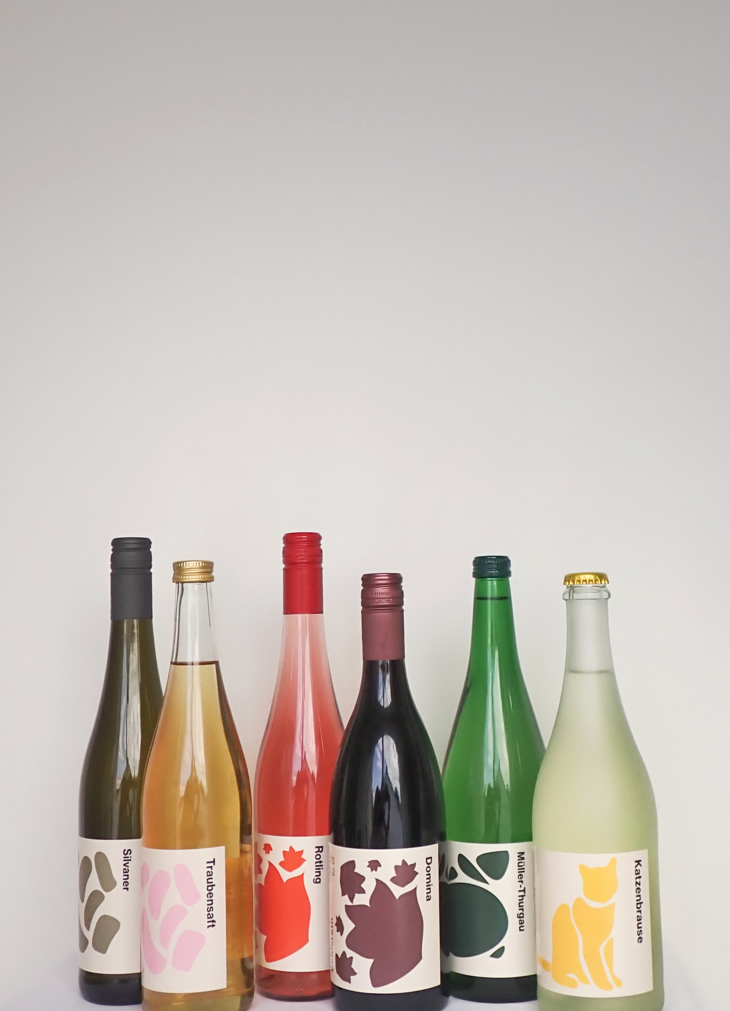 Gestaltung eines neuen Marken- und Designkonzeptes
