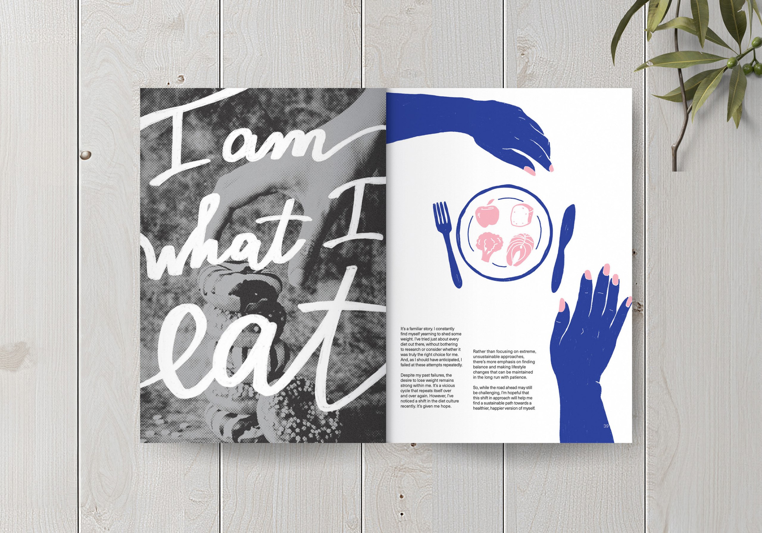 A book on sustained weight loss that motivates readers to go above and beyond to achieve their goal – a mindset change.