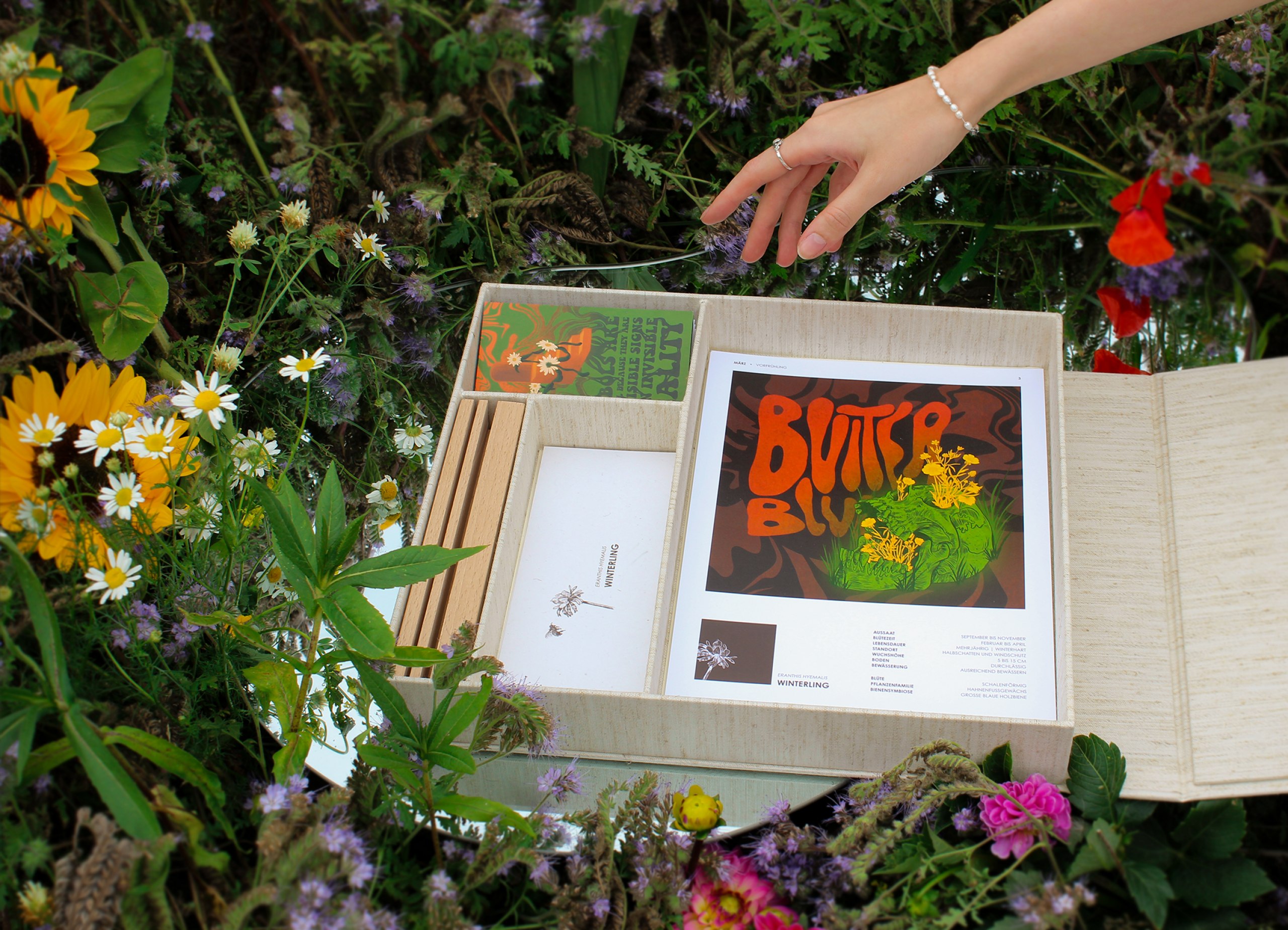 Für Wildbienen und andere Bestäuber