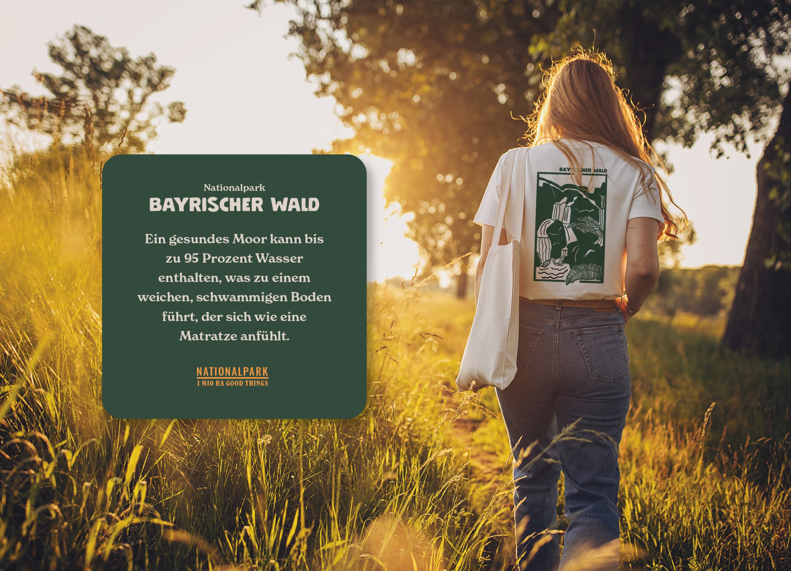 Neues Erscheinungsbild und informativer Merchandise für die Nationalparks in Deutschland