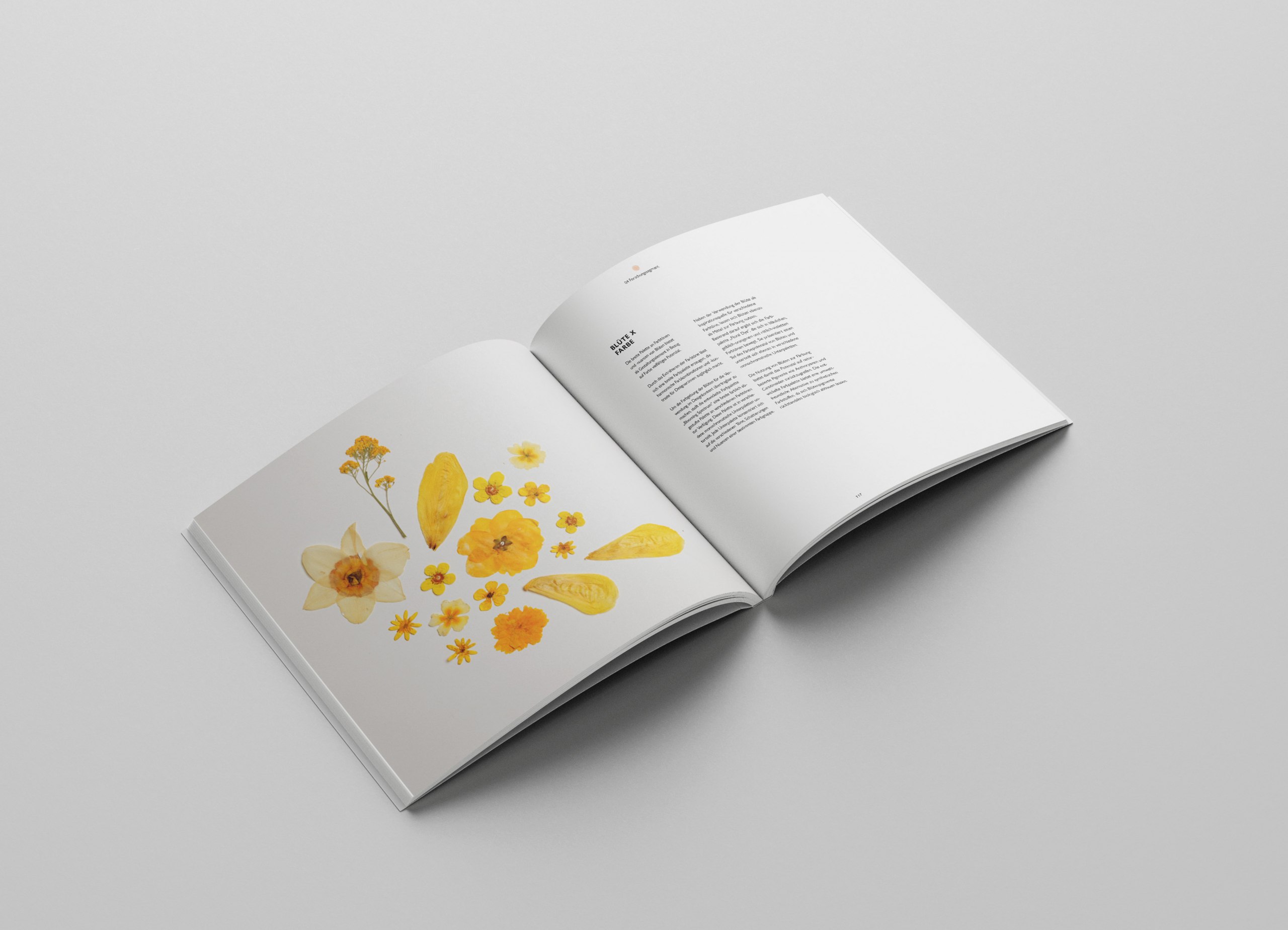 Nature-centered Design am Beispiel von Blüten als Kommunikation, Material und Element der Gestaltung