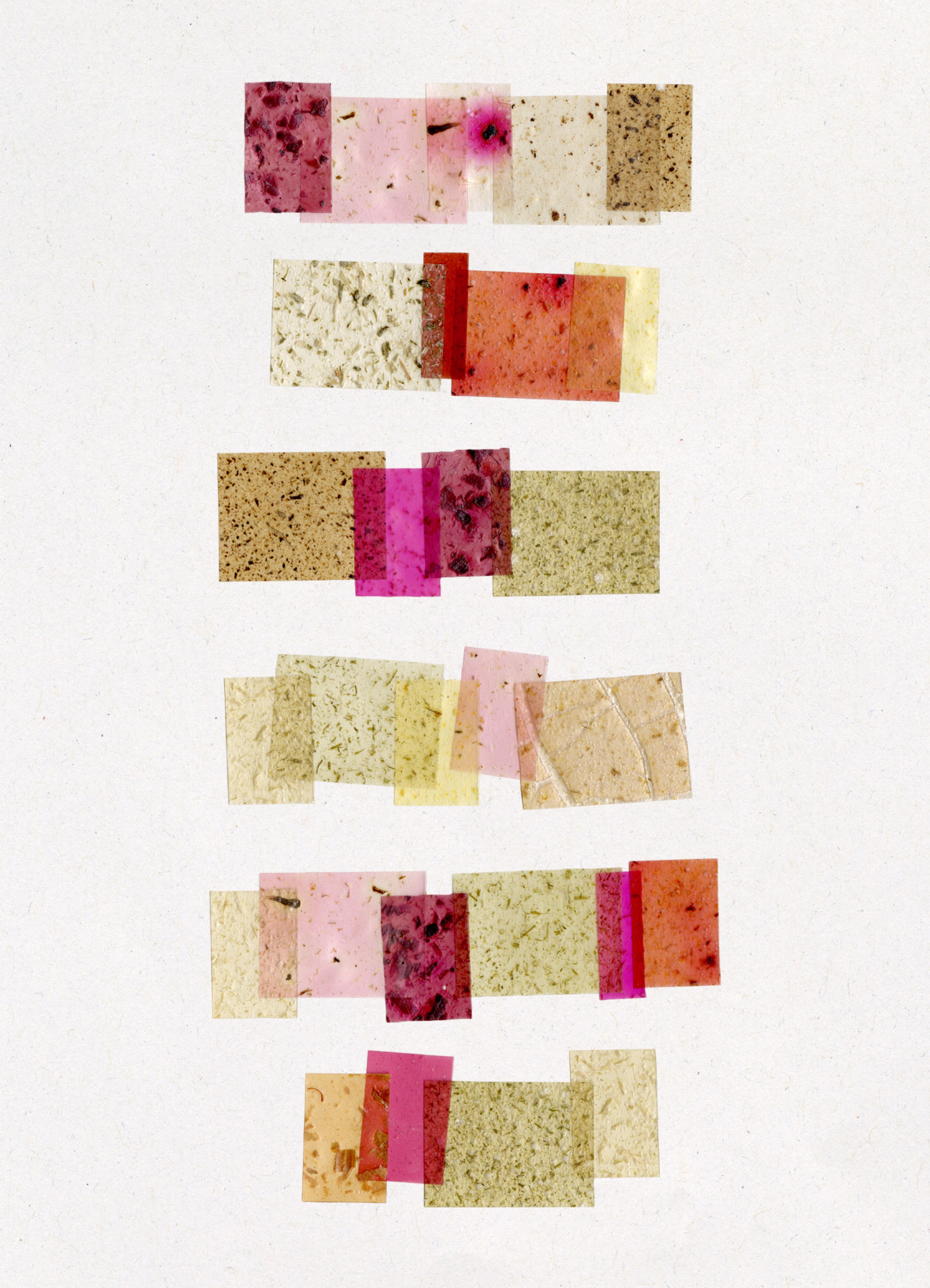 Material Innovations in Color and Surface Design through Food Waste