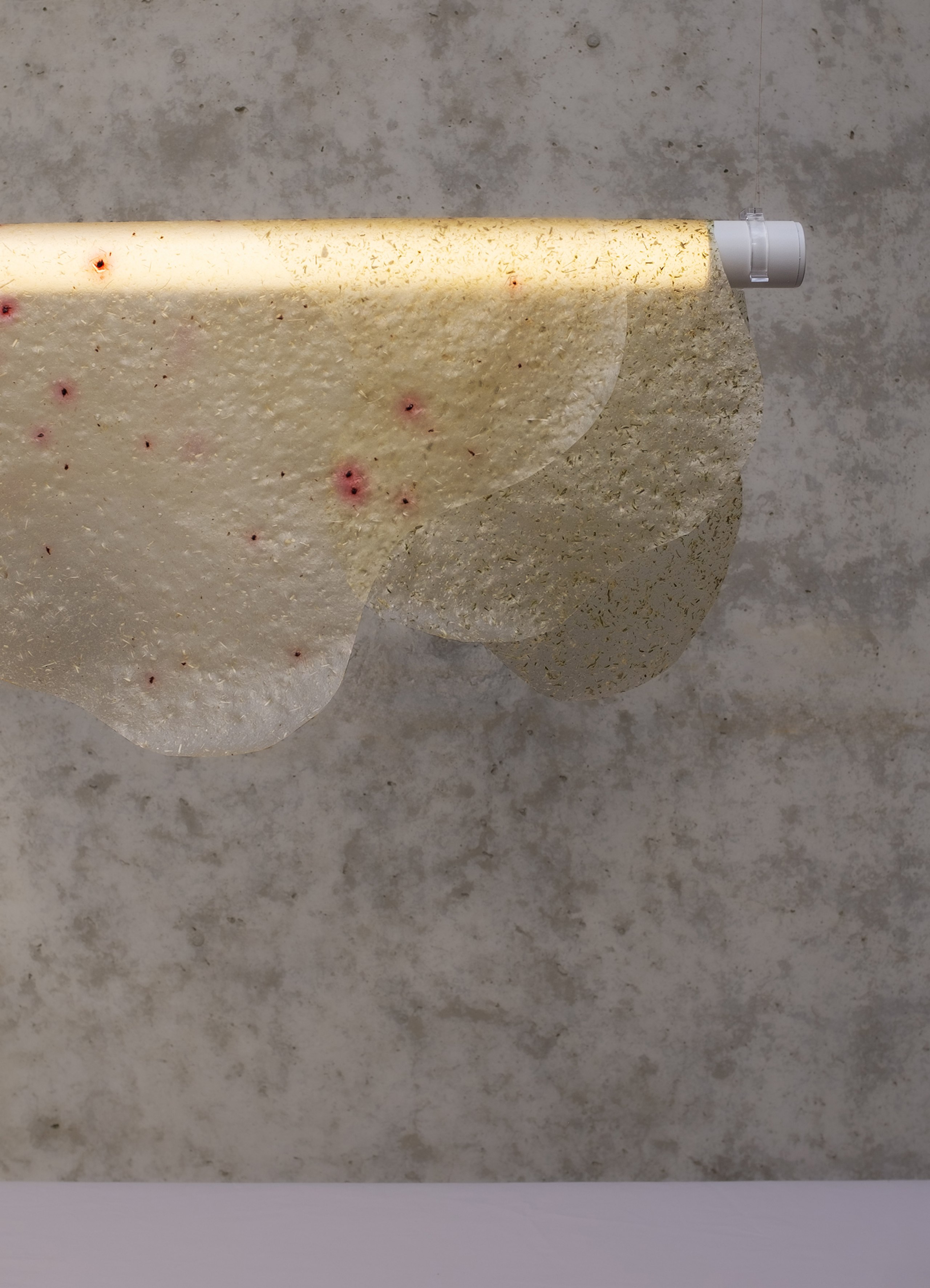 Material Innovations in Color and Surface Design through Food Waste
