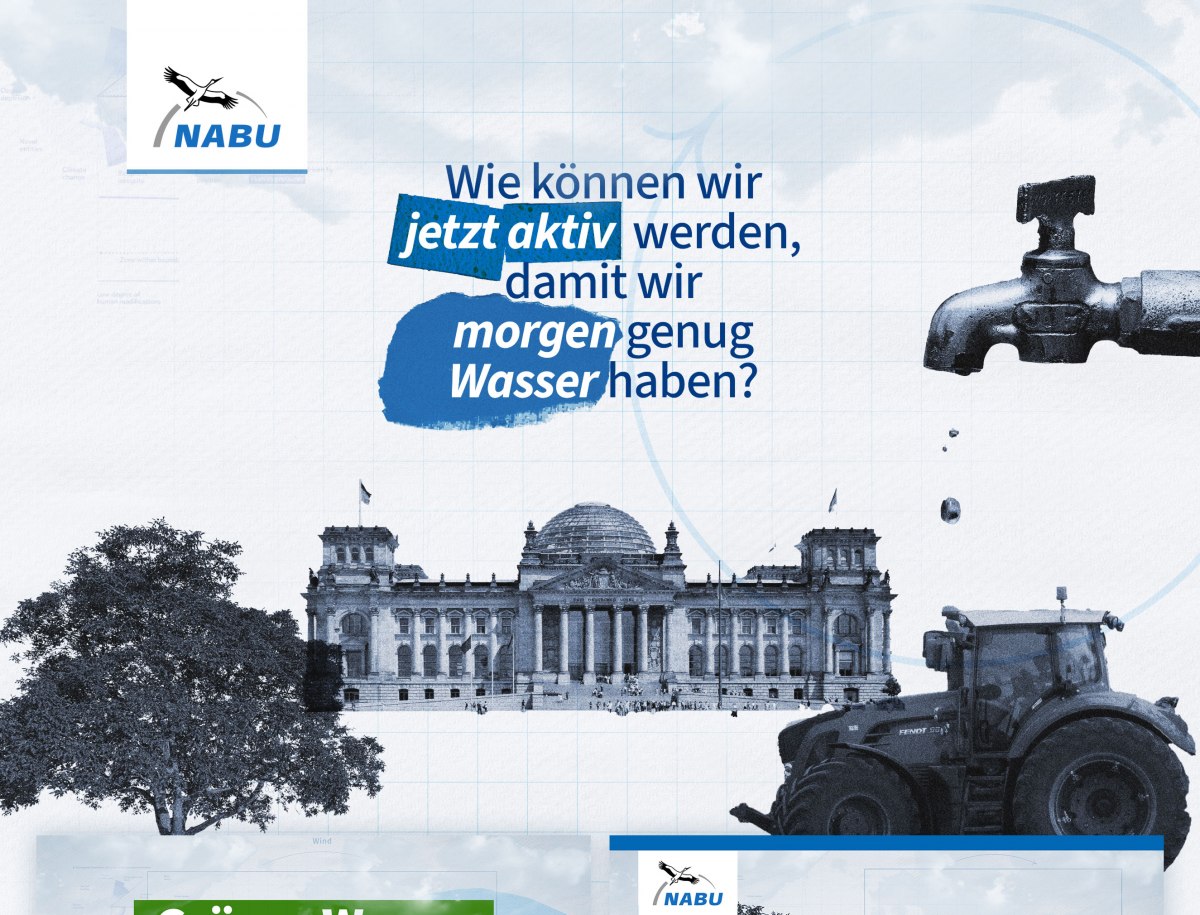 Umsetzung eines Erklärfilms zum System des Wasserhaushalts in Kooperation mit dem NABU