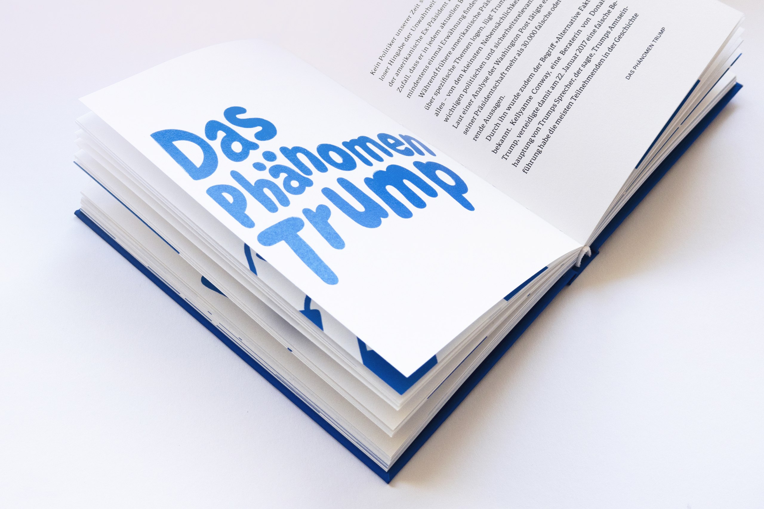 Konzeption und Gestaltung eines illustrierten Sachbuchs