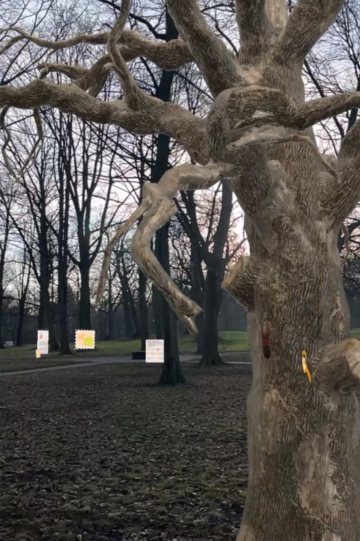 Augmented Reality als Mittel zur Umwelt- und Nachhaltigkeitsbildung