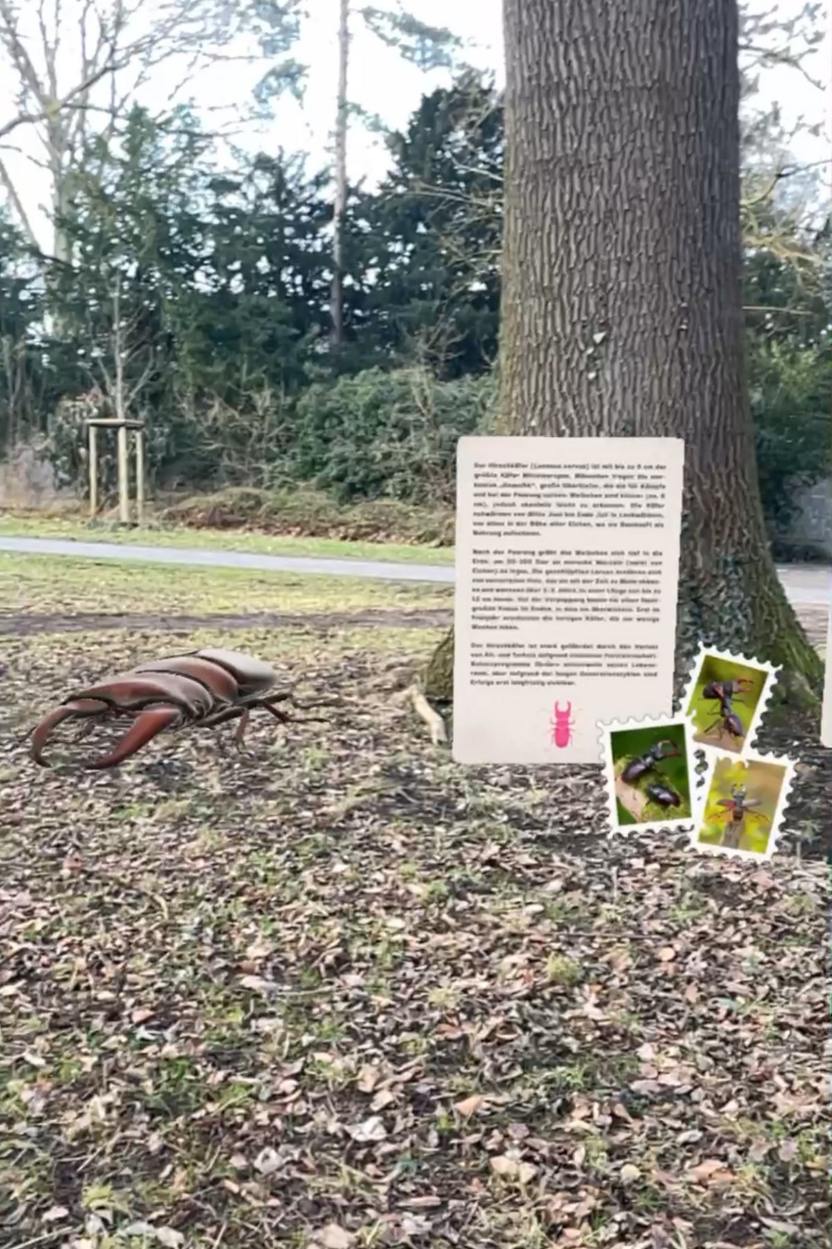 Augmented Reality als Mittel zur Umwelt- und Nachhaltigkeitsbildung