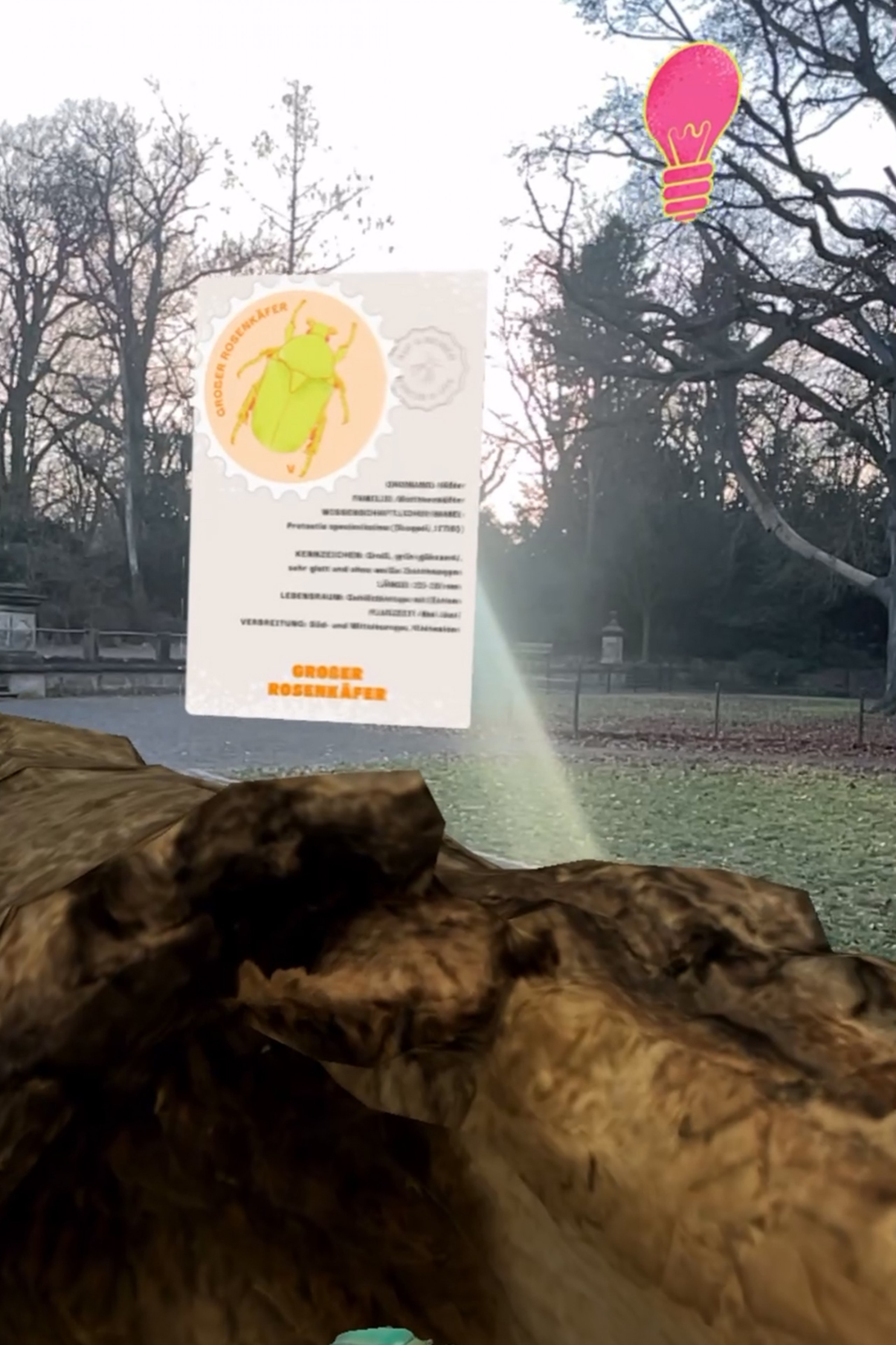 Augmented Reality als Mittel zur Umwelt- und Nachhaltigkeitsbildung