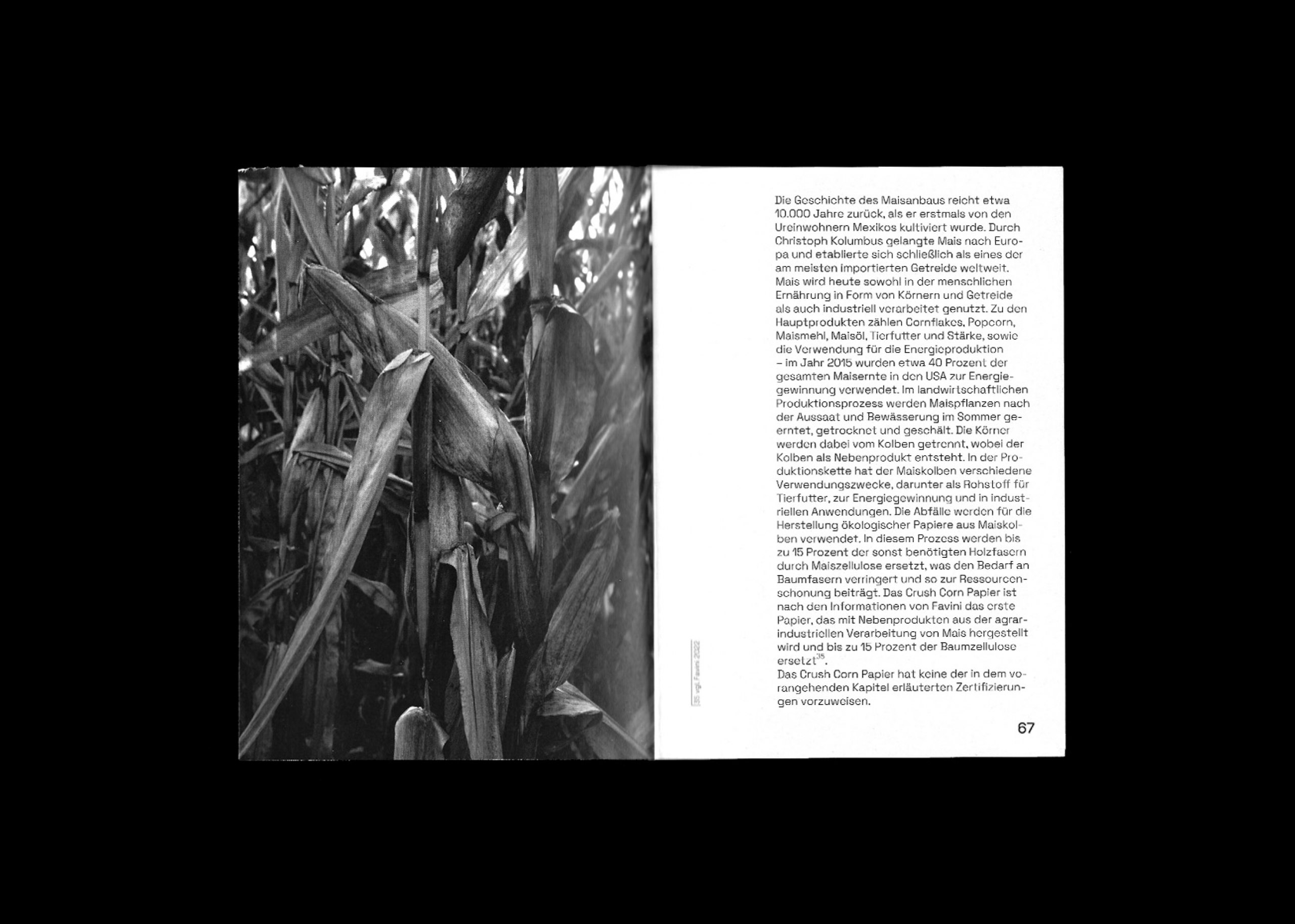 Gestaltung eines Buches über Papier, Papieralternativen und wie nachhaltig diese wirklich sind