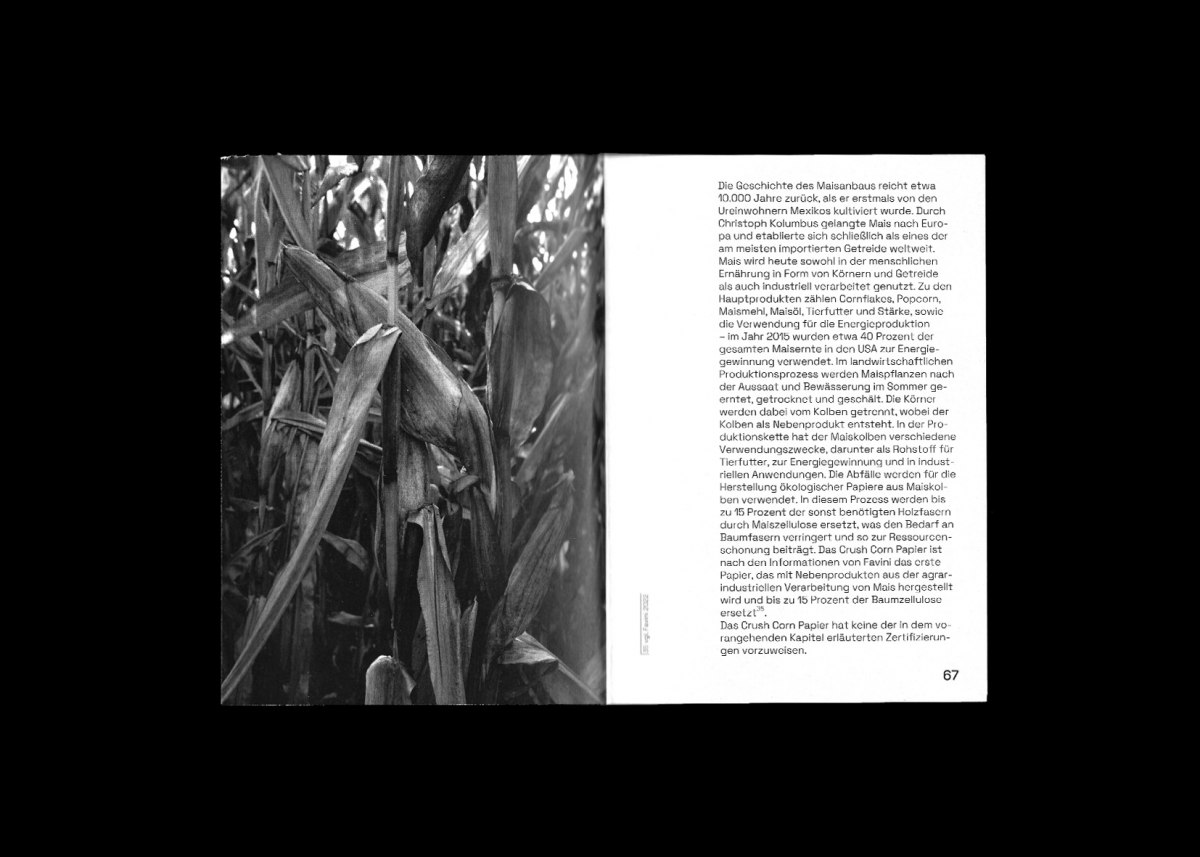 Gestaltung eines Buches über Papier, Papieralternativen und wie nachhaltig diese wirklich sind