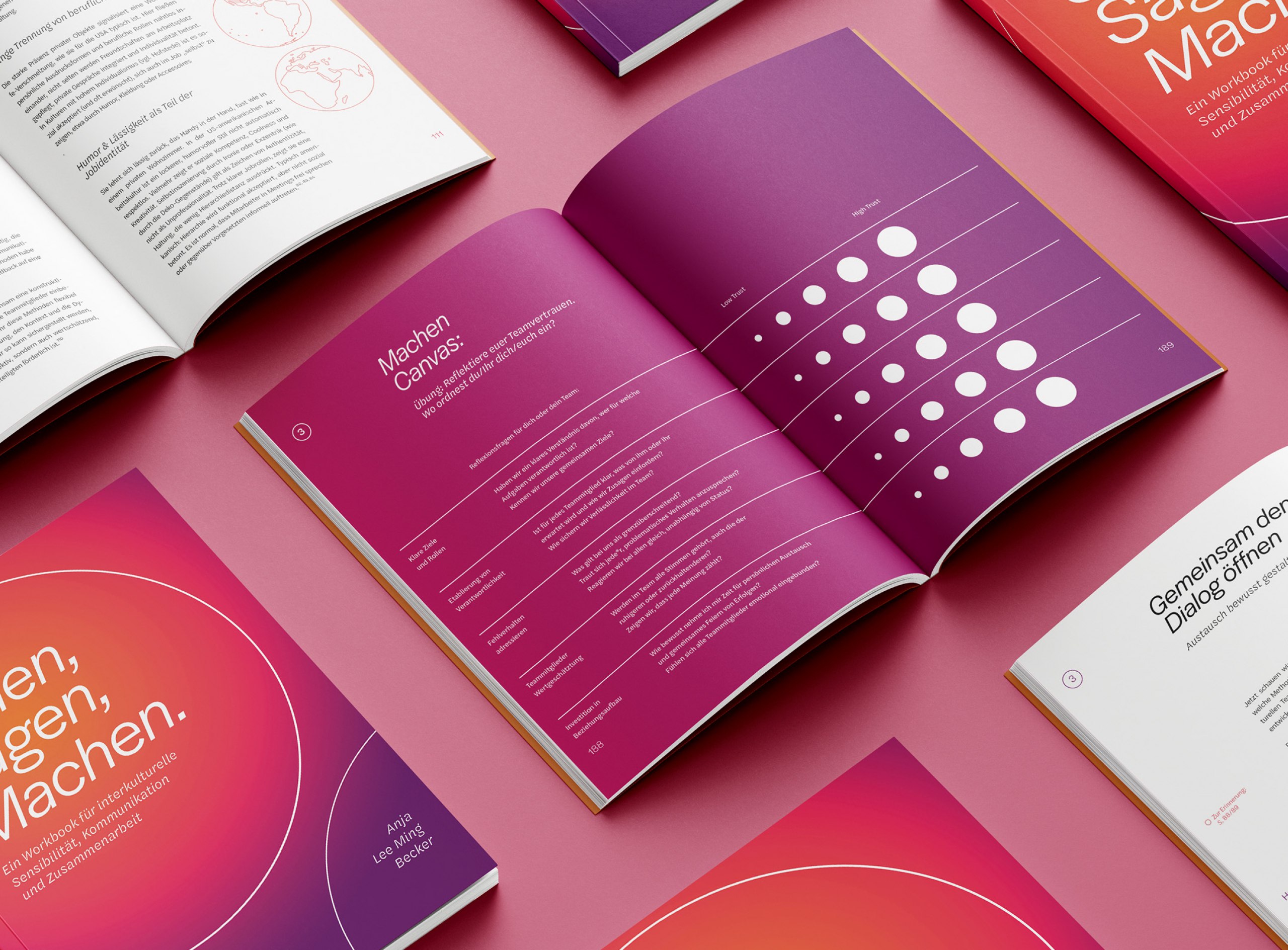 Ein Workbook für interkulturelle Sensibilität, Kommunikation und Zusammenarbeit