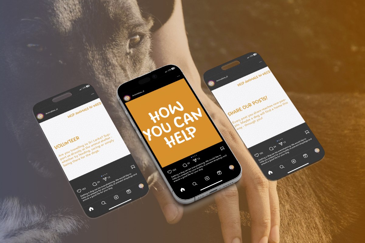 Gestaltung eines neuen Erscheinungsbildes für die Tierschutzorganisation
Animal S.O.S - Sri Lanka