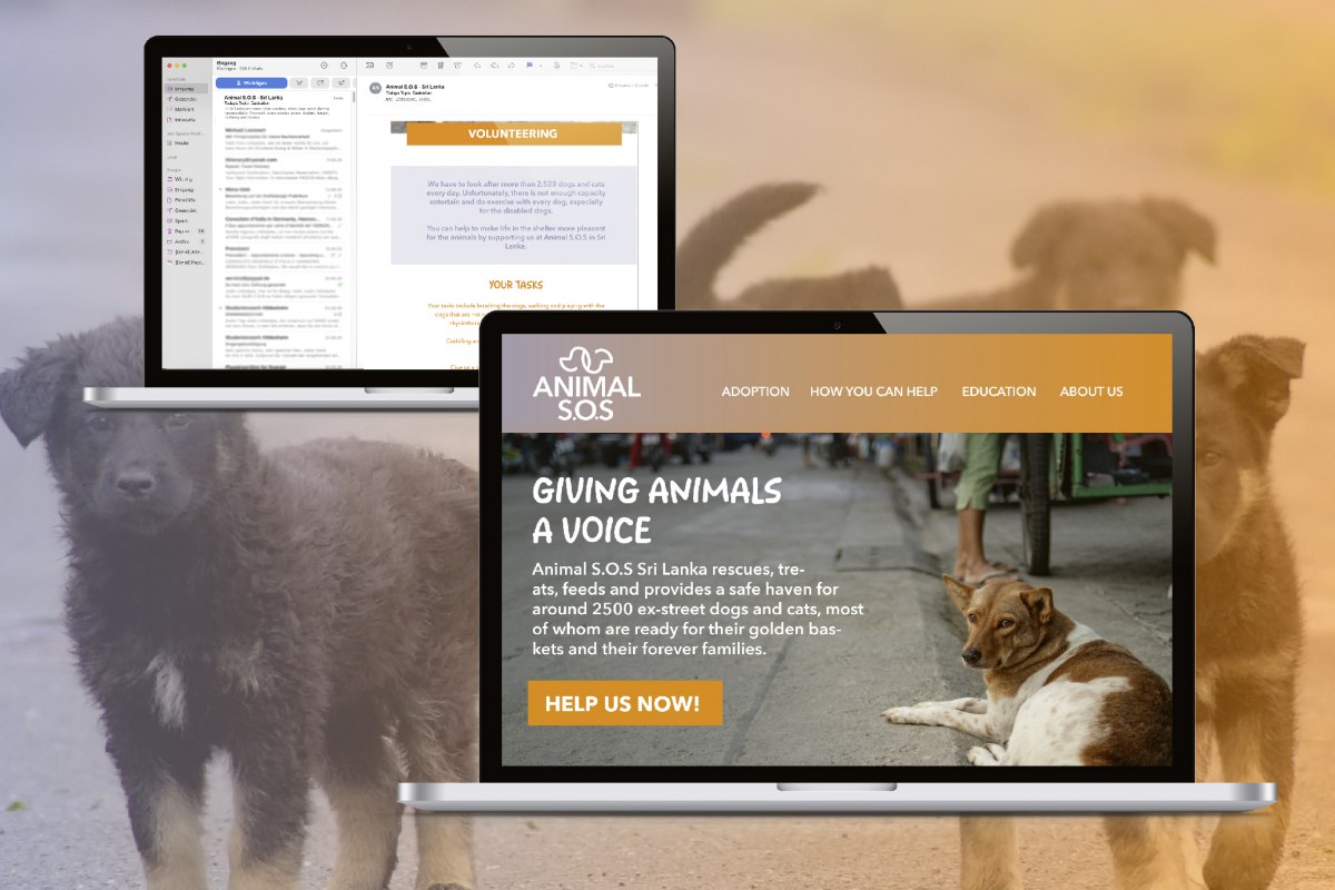 Gestaltung eines neuen Erscheinungsbildes für die Tierschutzorganisation
Animal S.O.S - Sri Lanka