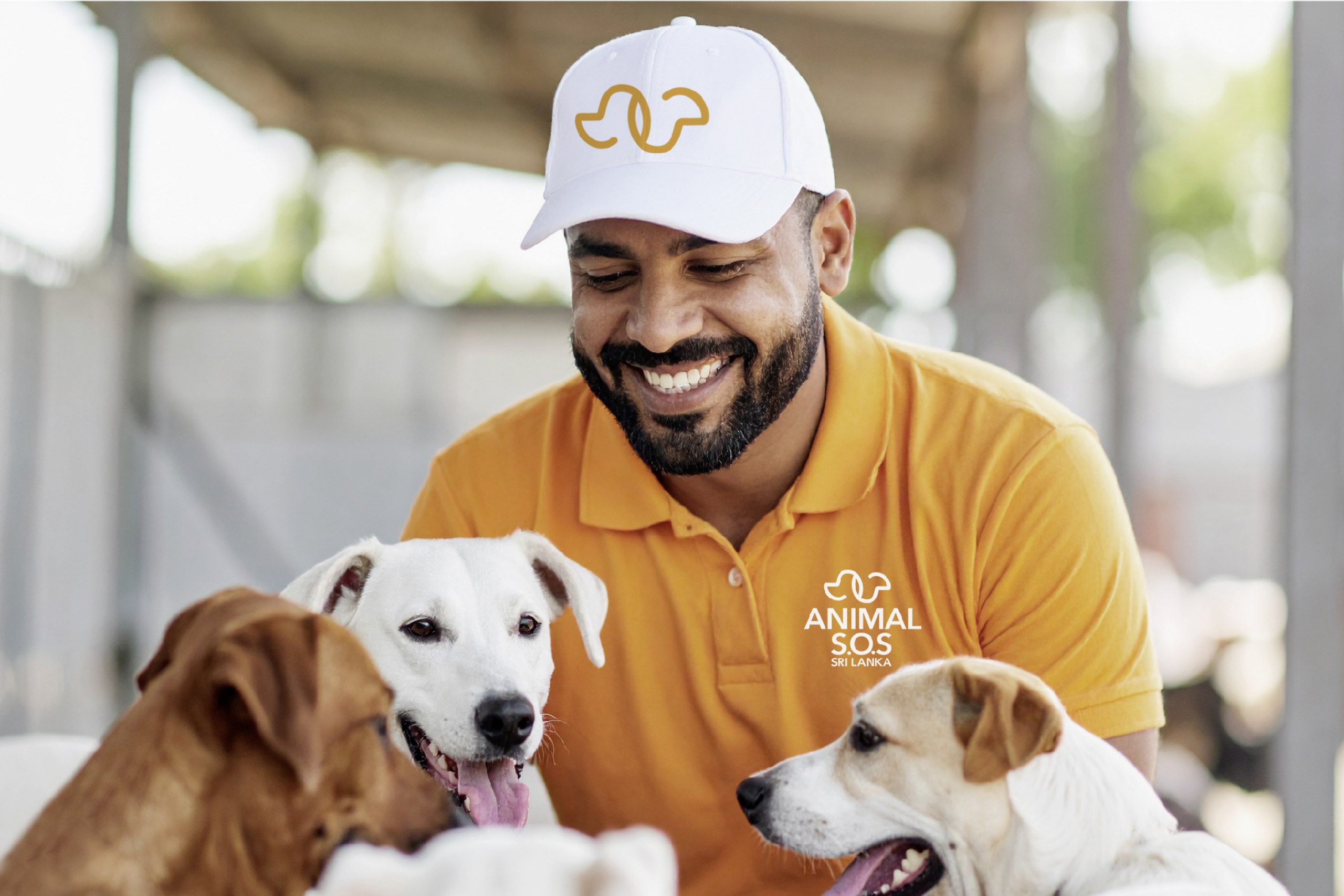 Gestaltung eines neuen Erscheinungsbildes für die Tierschutzorganisation
Animal S.O.S - Sri Lanka