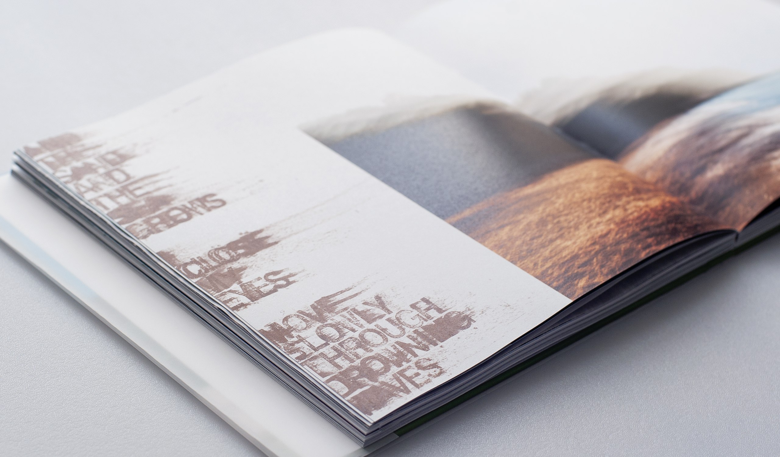 Eine Publikation zur Fotografie-Text-Synthese