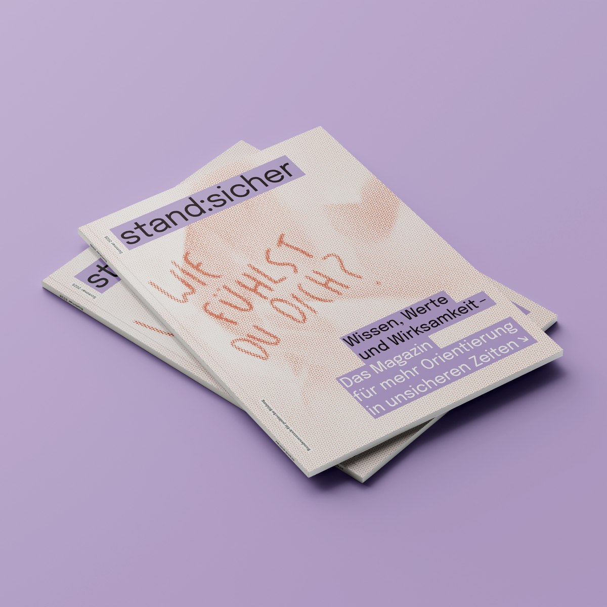 Konzeption und Gestaltung eines Magazins zum Thema Sicherheit marginalisierter Gruppen