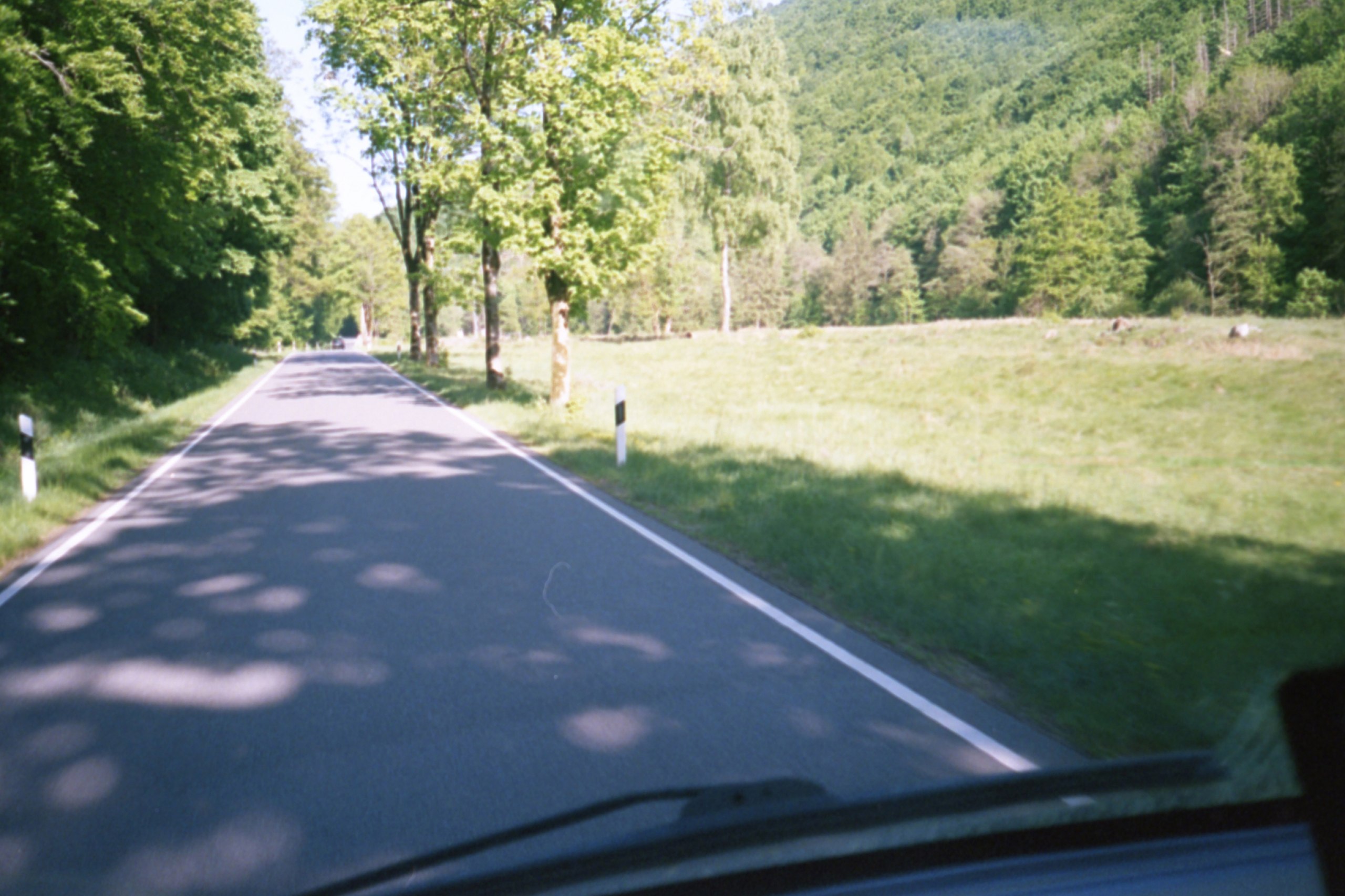 Eine fotografische Reise durch den Harz und meine Depression