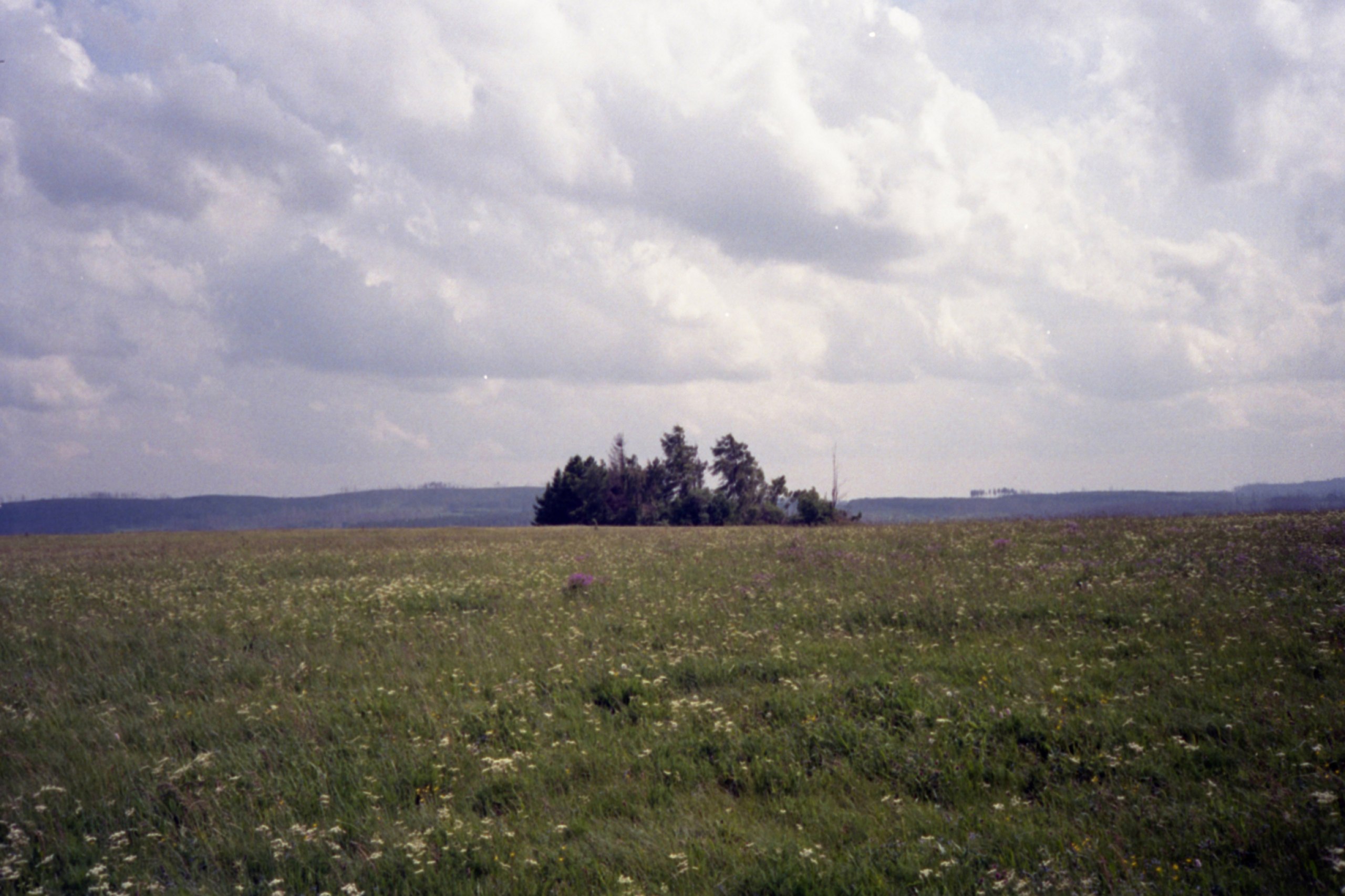 Eine fotografische Reise durch den Harz und meine Depression