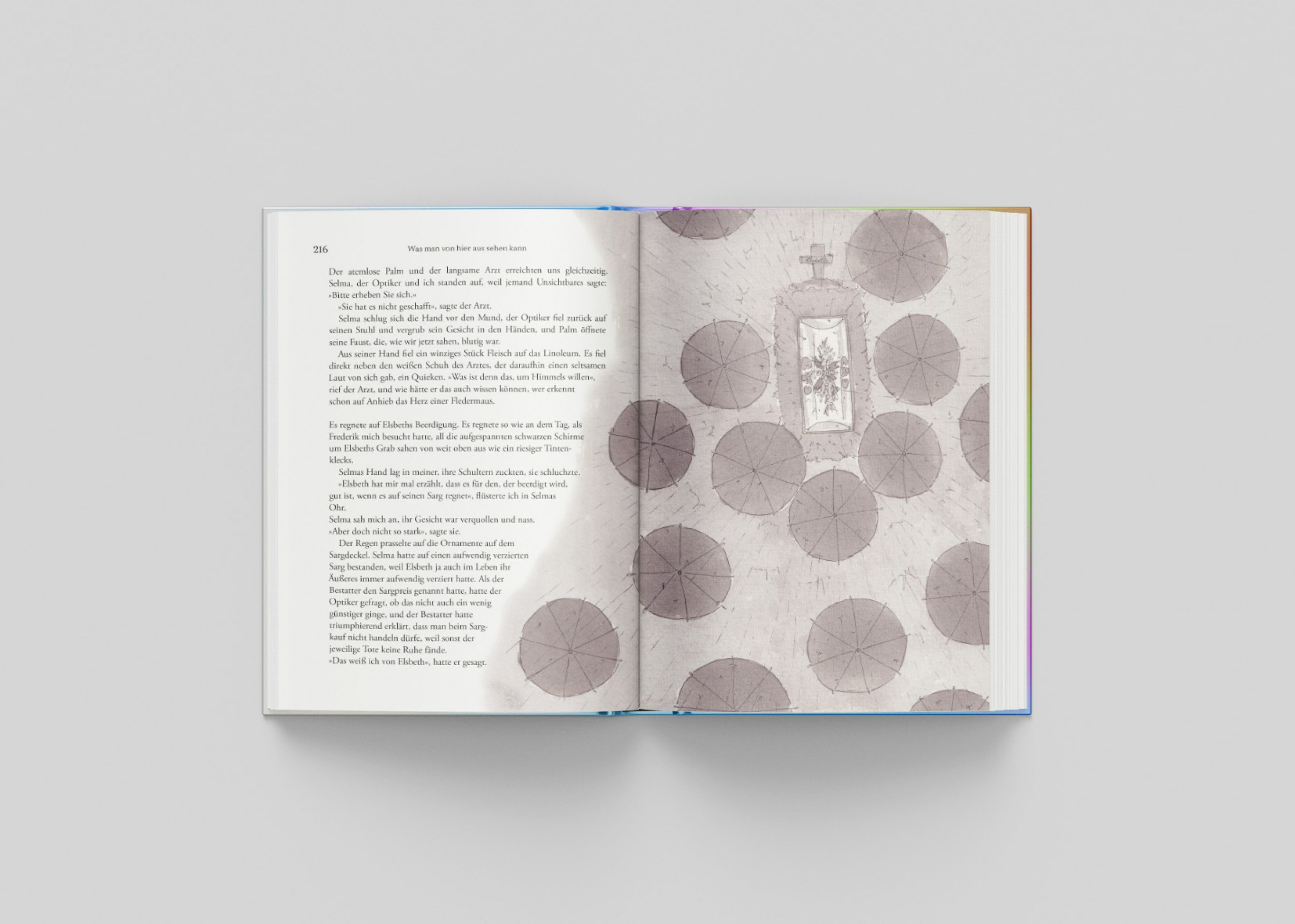 Neugestaltung und Illustration des Romans von Mariana Leky
