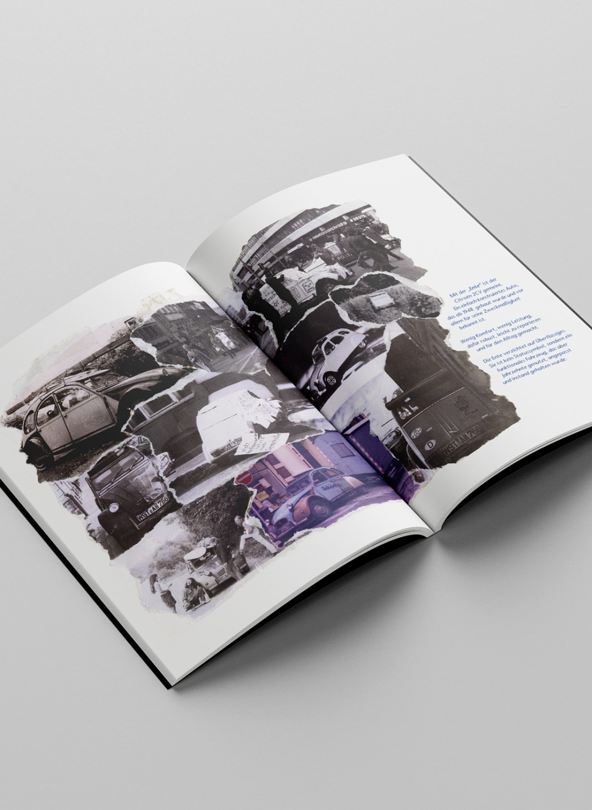 Dokumentarisch-essayistisches Buch über die Geschichte einer Druckerei