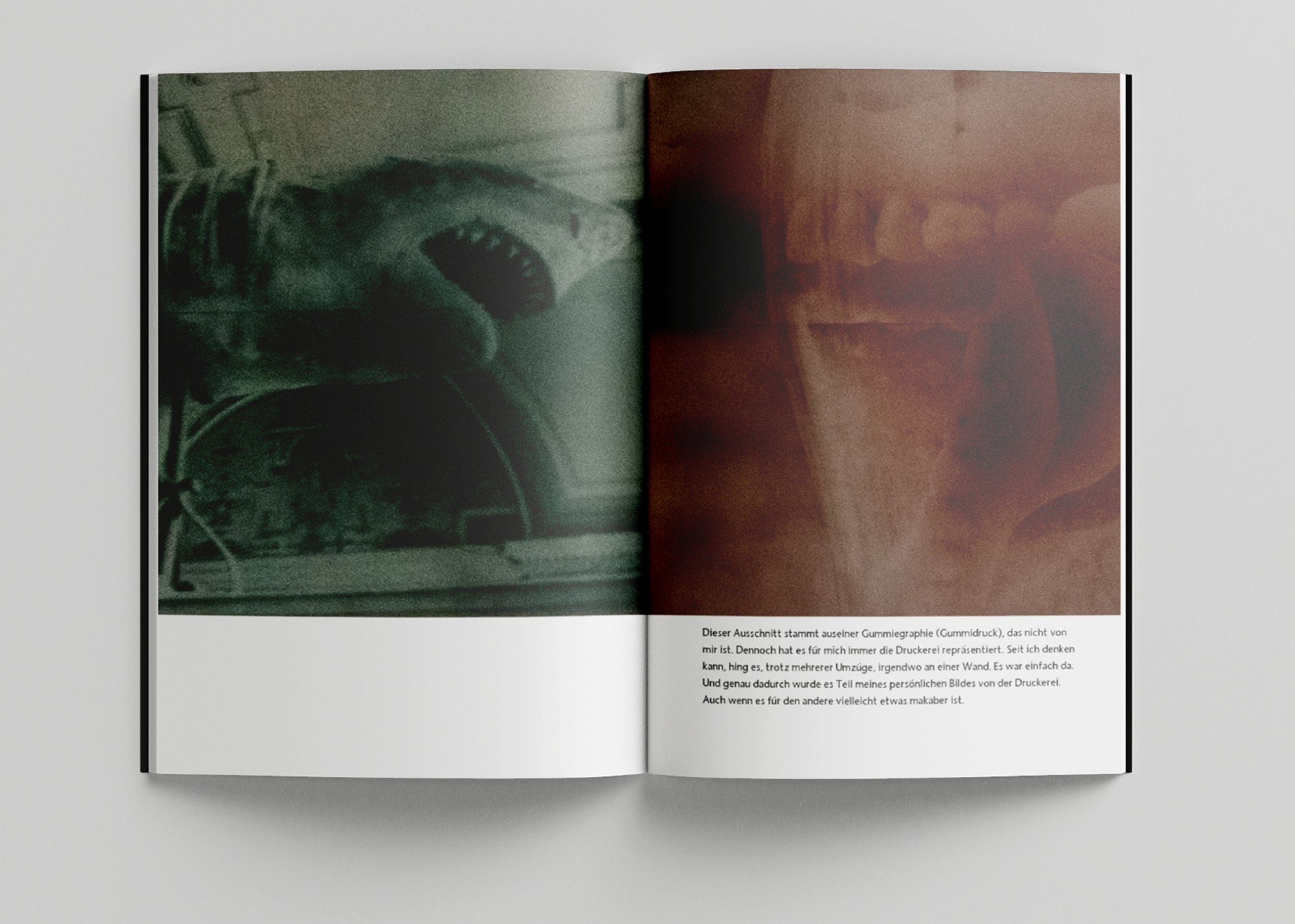 Dokumentarisch-essayistisches Buch über die Geschichte einer Druckerei