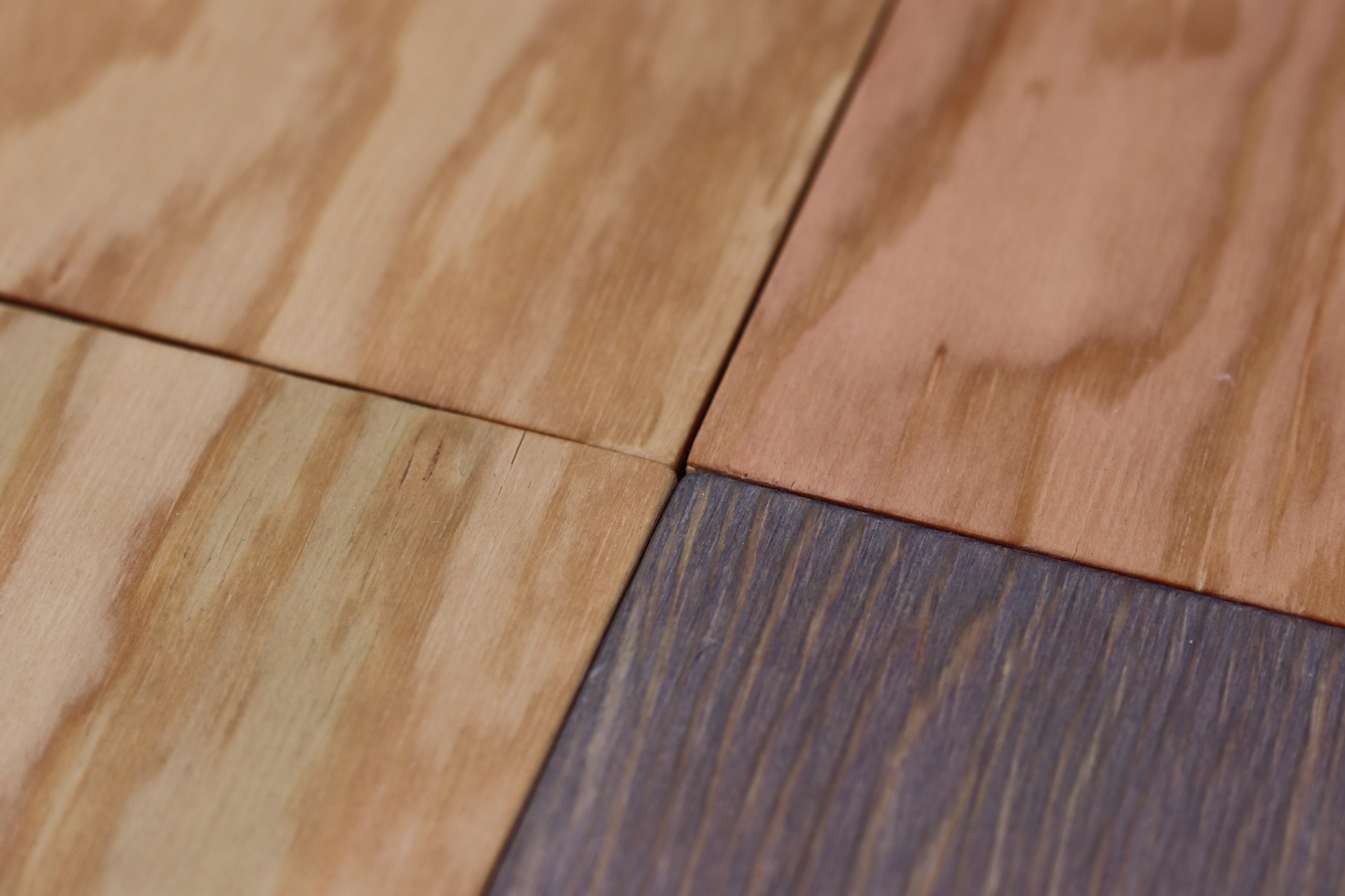 Ein DIY-Kit zum Erstellen von pflanzlichen Holzbeizen