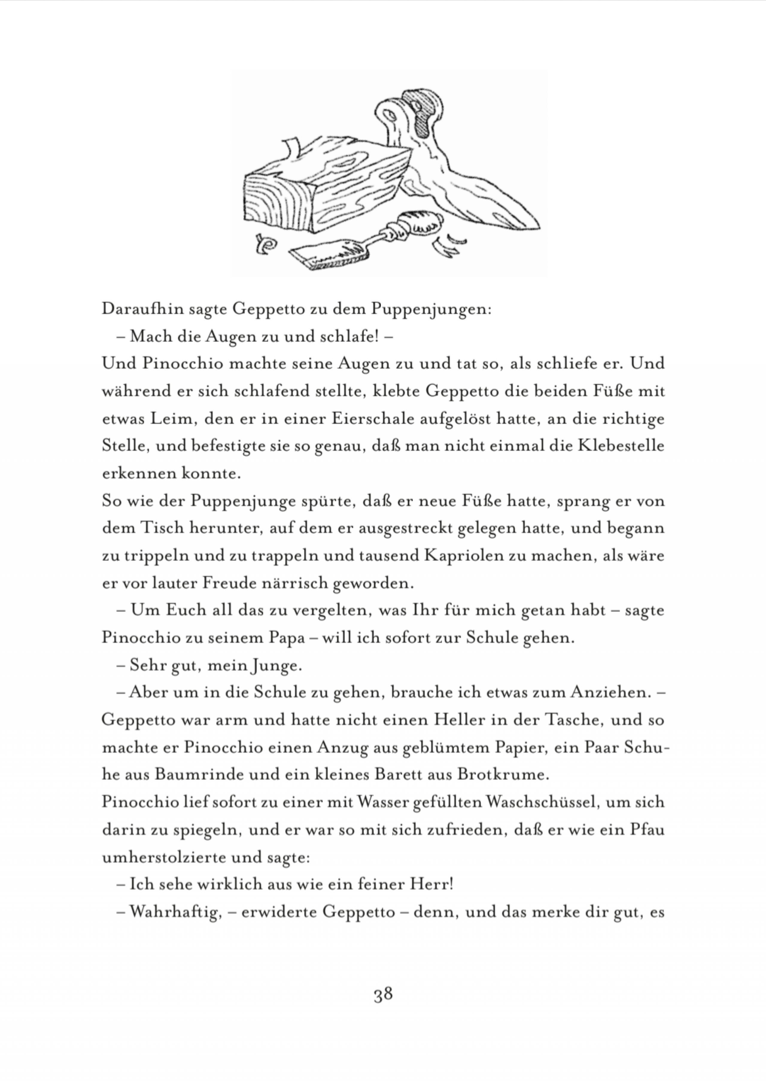 Buchgestaltung Carlo Collodis "Die Abenteuer des Pinocchio"