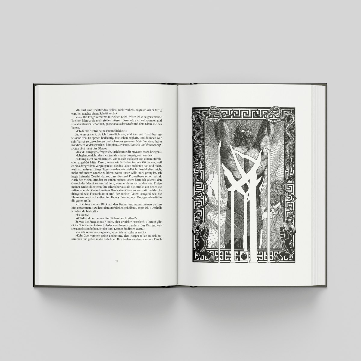 Gestaltung einer illustrierten Schmuckausgabe des Romans von Madeline Miller